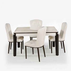DT-Olive Marble Dining Set 4 Seater