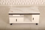CT-J2 Marble Center Table